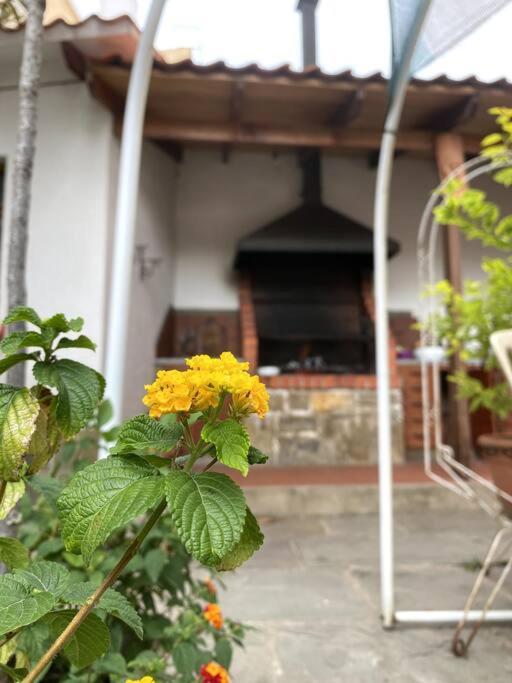 Hermosa Casa Familiar Holiday home Tarija